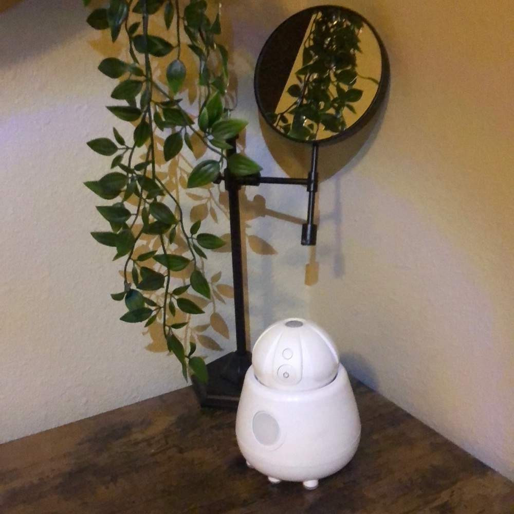 Tao Clean Facial Brush!